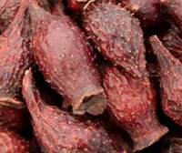 several dark redddish dried fruits of Cherokee Rose Fruit