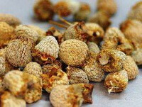many dried deep yellowish herb fruits of Fructus Rubi are piled together