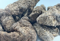 brownish wild root tubers of Rehmannia Root