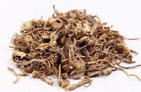 Blackened Swallowwort Root