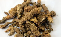 dried herb segments of Figwortflower Picrorhiza Rhizome