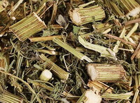 dried herb segments of Sweet Wormwood Herb