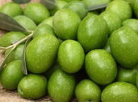 many green fruit berries of Canarium album Raeusch are piled together with a few leaves