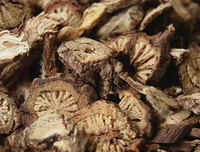 dried herb slices of Chinese Pulsatilla Root are in a pile