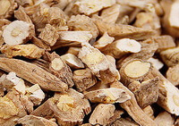 dried Isatis Root slices and segments
