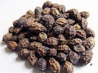 dried herbs of Java Brucea fruit are in a pile