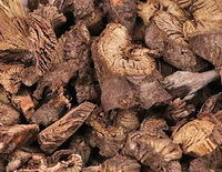 dried herb slices of Uniflower Swisscentaury Root