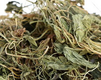 Violet Herb