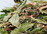 dried herb pieces and segments of Violet Herb