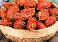Cape-jasmine Fruit