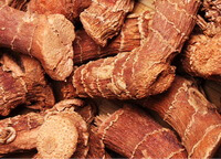 dried root segments of Lesser Galangal Rhizome