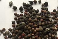 dried fruit berries of Piper cubeba L are in a pile