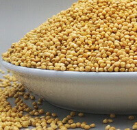 many small yellow grains of Millet are piled in a plate.