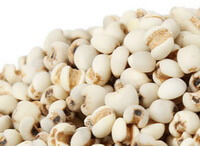 whitish grains of Coix Seed are piled together