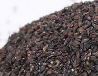 dark brown dried Plantain Seeds are piled together