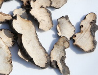 dried herb slices of Polyporus