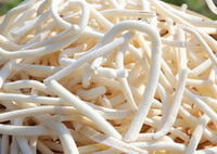 whitish dried long herb segments of Ricepaper-plant Pith are piled together