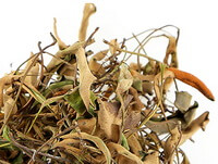 dried herb segments and pieces of Shearers Pyrrosia Leaf