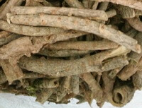 dried herb segments and pieces of Chinese Silkvine Root-bark are piled together
