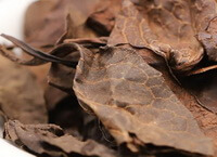 brownish dried herb pieces of Pyrola Herb