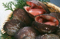 soem inkfishes of Arca inflata Reeve are piled in a bamboo basket.