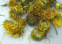 Inula Flower