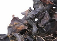 dried pieces of Kelp
