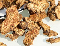 yellow brown dried herb slices of Rhizoma Atractylodis are piled together