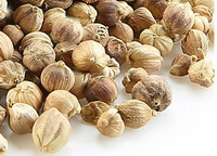 dried herbs of Round Cardamom Fruit