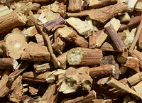 dried herb segments and pieces of Wrinkles Gianthyssop Herb