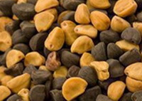 Black and White Pharbitis Seed