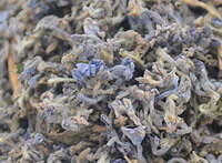 dried Lilac Daphne Flower Buds are piled together