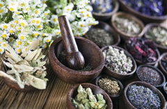 Introduction of TCM Herbs Icon 03
