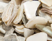 whitish herb pieces of Nacre