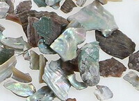 herb blocks and pieces of Sea-ear Shell