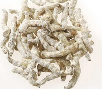 Stiff Silkworm