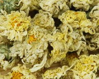dried flower petals of Chu-Chrysanthemum,Chu Juhua