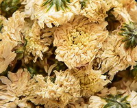 dried flower petals of Tribute Chrysanthemum,Gong Juhua