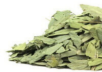 pale green dried herb leaves of Folium Sennae