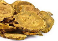 deep yellow root slices of Radix et Rhizoma Rhei are piled together