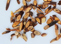 Cassia Twig herb branch tips 02