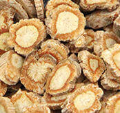 herb slices of Saposhnikovia divaricata root