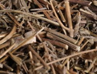 dried herb segments from Mosla chinensis Maxim. cv. Jiangxi-angru