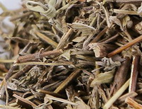 dried herb segments of Mosla chinensis Maxim