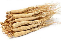 several dried roots of Panax ginseng C.A.Mey.Garden ginseng with fibrous roots
