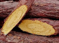dried licorice root slices segments of wild licorice root with brownish red root bark