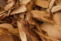 light brownish dried herb slices of Acanthopanax senticosus are piled together