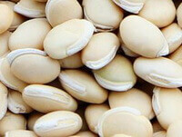 many light yellowish herbs of white Hyacinth Bean are piled together