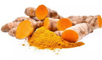dried herb powder and herb segments of Rhizoma Curcumae Longae