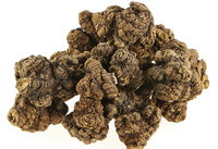 dried brownish herb rhizome of Szechwan Lovage Rhizome